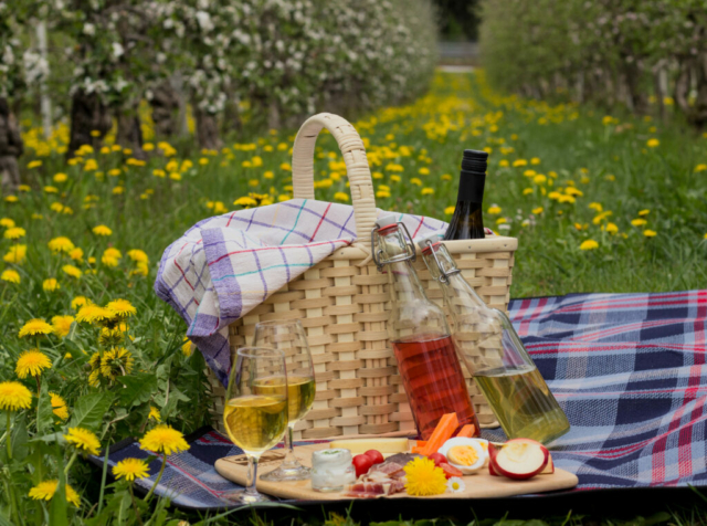 Picknick im Obst- und Weingarten