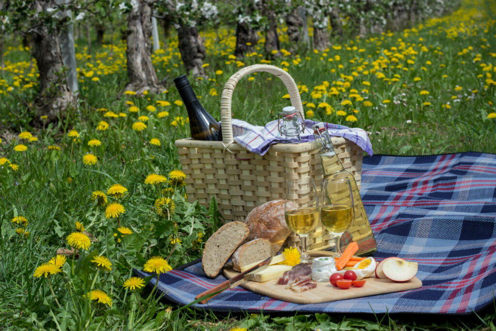 Picknick im Obstgarten